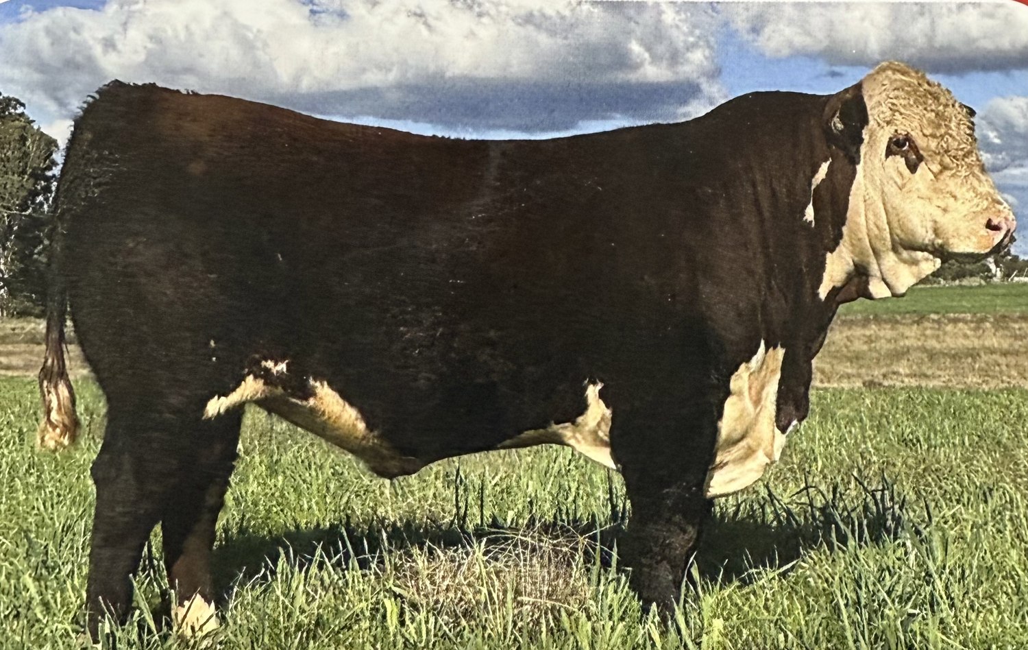 Kidman Ooerator T99