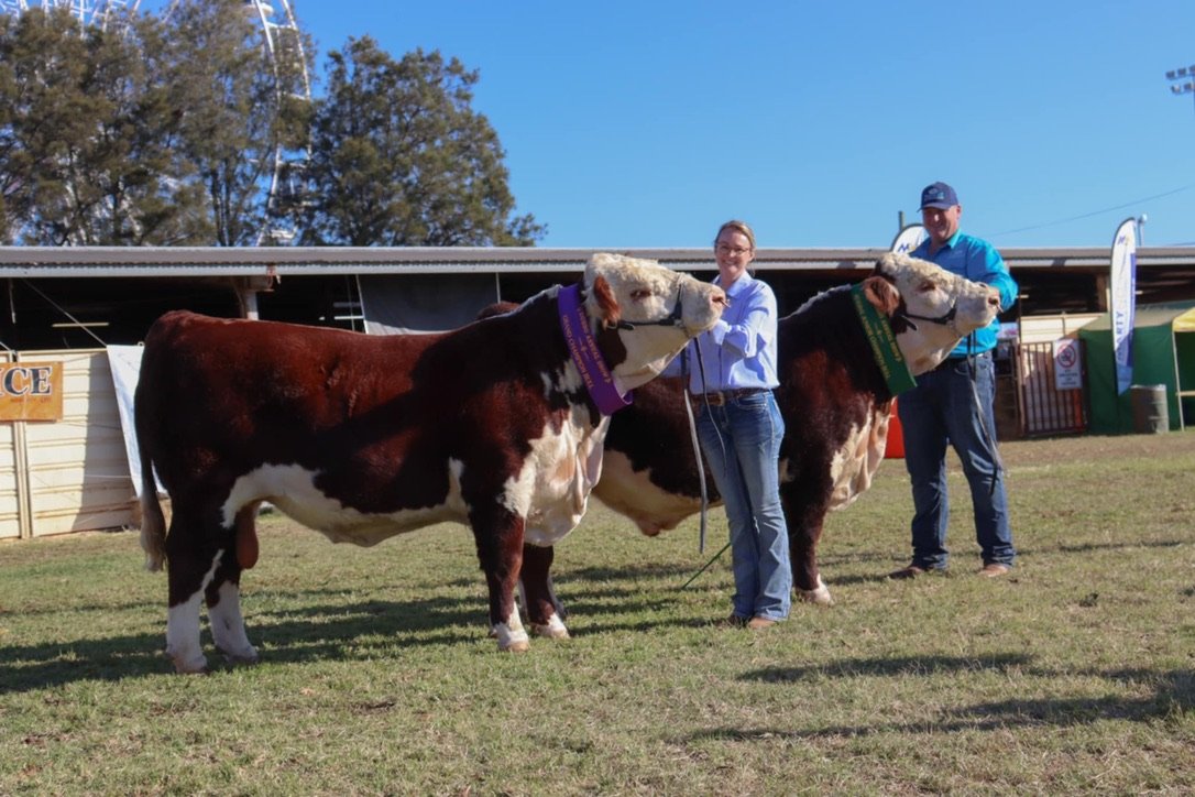 Pinnacle Tiger Tank Grand Champion and Boomer Reserve Junior Champion Dubbo Show